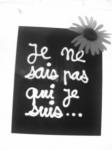 rien que des pomes